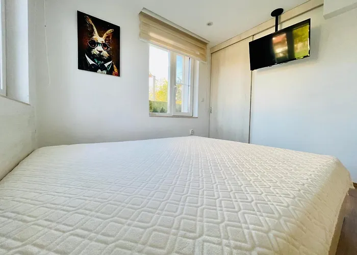 Forest Oasis Free Parking